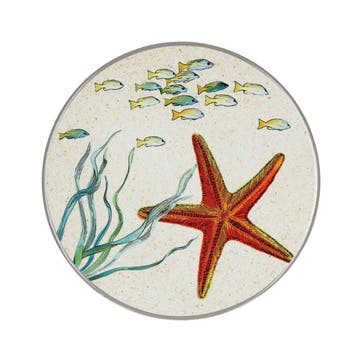 Sea Life Trivet Starfish 20cm, Multi