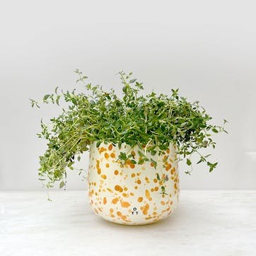 Splatter Indoor Planter  D15 x H13cm, Burnt Orange