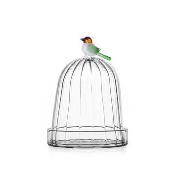 Animal Farm Bird Optic Dome with Dish H15 x W12cm,