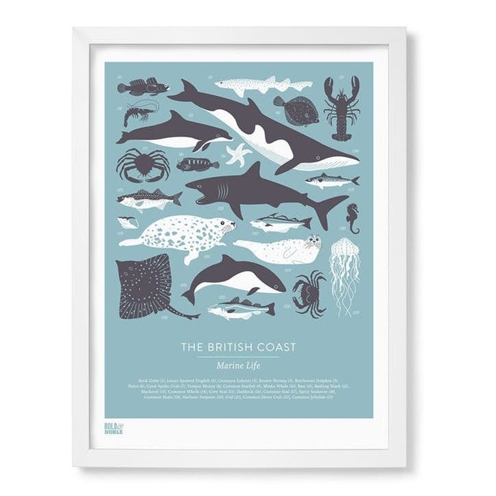 British Coast Marine Life Screen Print, 30cm x 40cm, Coastal Blue