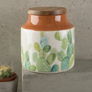 Drift Cactus Storage Jar