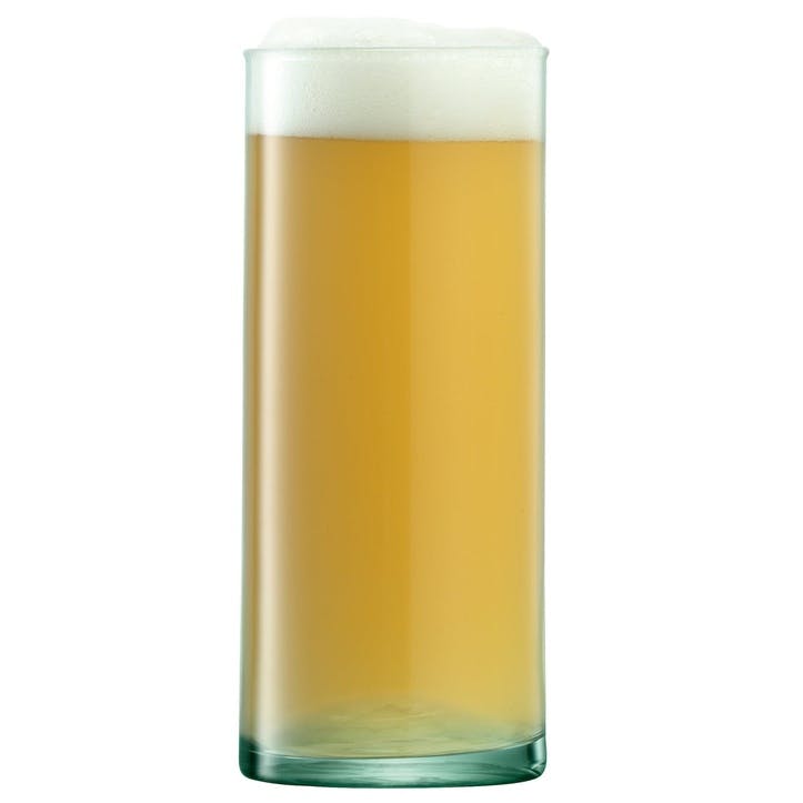 Canopy Beer Glass, Set of 4