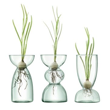 Canopy Trio Vase Set