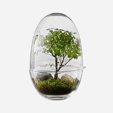 Grow Greenhouse Medium, Clear