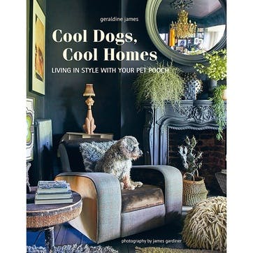 Cool Dogs, Cool Home Living In Style With Your Pet Pooch