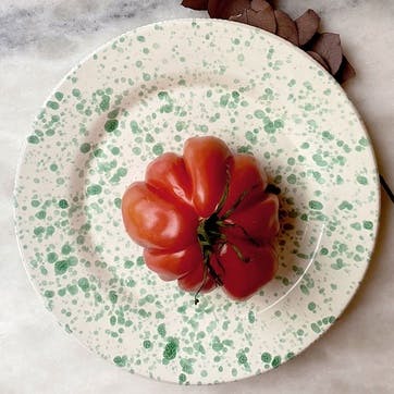 Splatter Dinner Plate D24cm, Pistachio