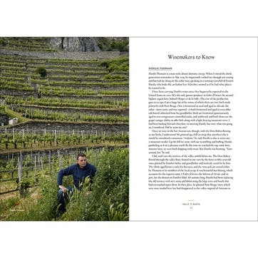 Joe Campanale Vino: The Essential Guide To Real Italian Wine