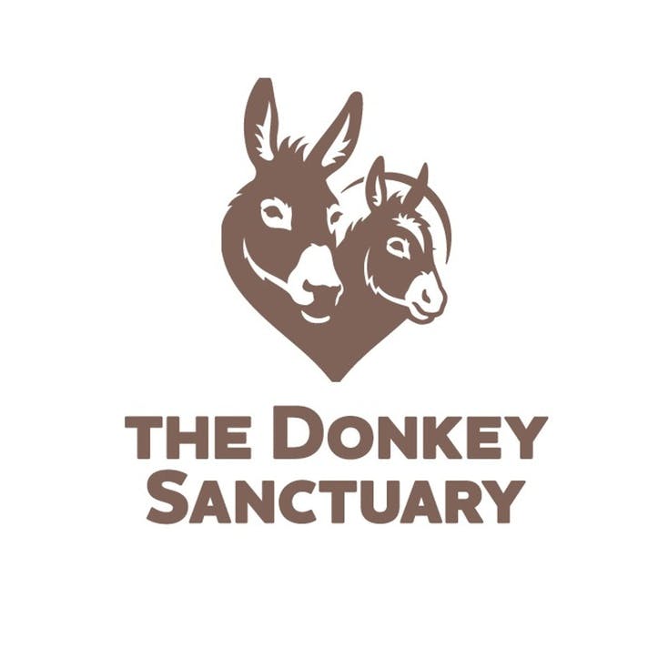 A Donation Towards The Donkey Sanctuary