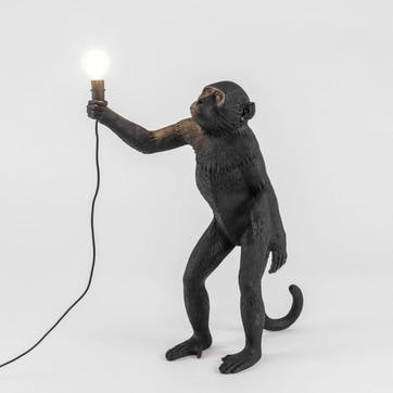Outdoor Monkey Light, Standing