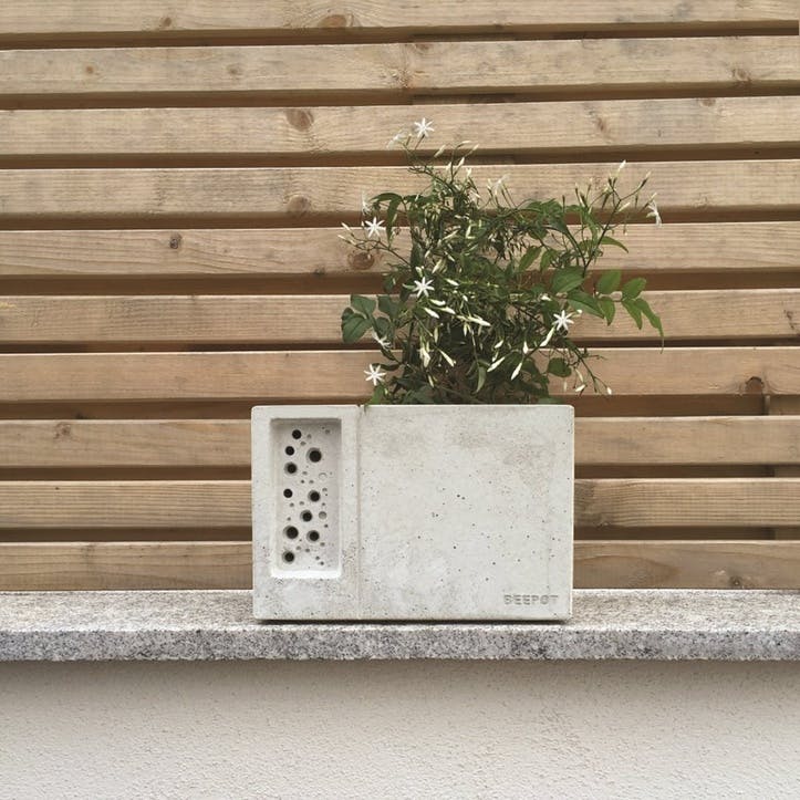 Beepot Concrete Planter and Bee House