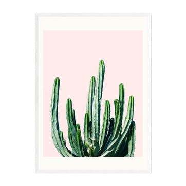 83 Oranges, Cactus Framed Art Print