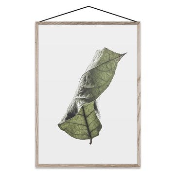 Floating Leaves 04 - A4 FSC Print 30 x 21cm