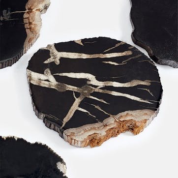 Balfern Set of 4 Petrified Wood Coasters D12cm, Black