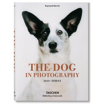 The Dog in Photography 1839-Today