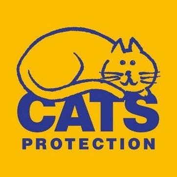 A Donation Towards Cats Protection