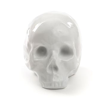 Skull, Memorabilia, White