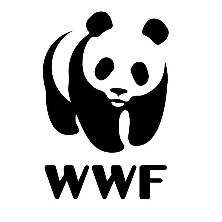 A Donation Towards WWF