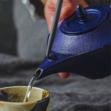 Cast Iron Infuser Teapot 450ml, Blue