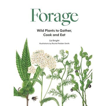 Forage: Wild Plants to Gather Cook and Eat