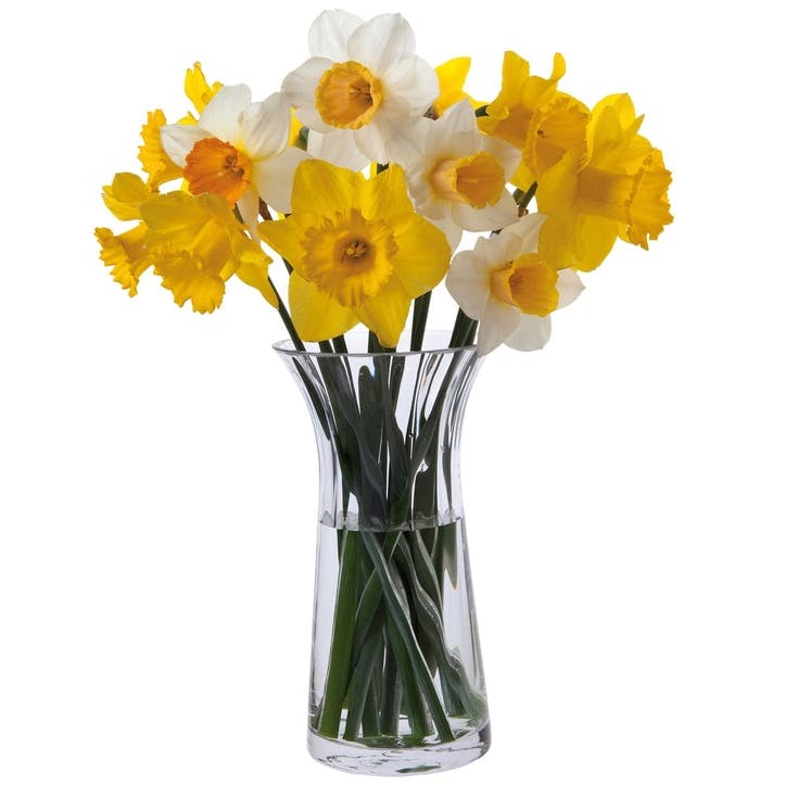 Florabundance Daffodil Vase