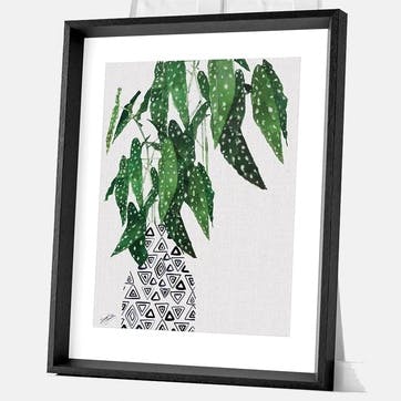 Summer Thornton Polka Dot Begonia Plant Framed Print, 55 x 45cm