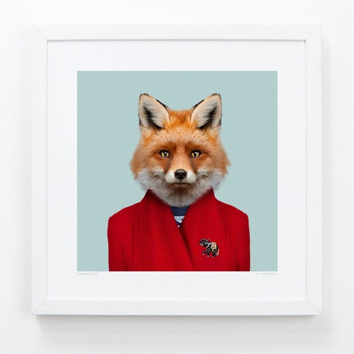 Zoo Portrait Red Fox, 33cm x 33cm