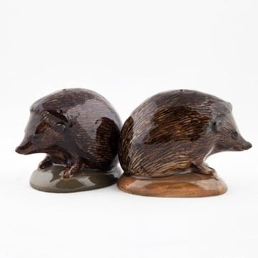 Hedgehog Salt & Pepper Shakers H5.5cm Brown