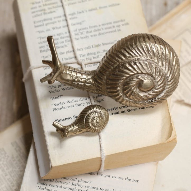 Snail Paper Weight - Large