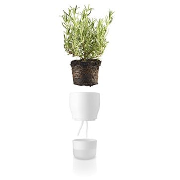 Self Watering Plant Pot, Chalk White