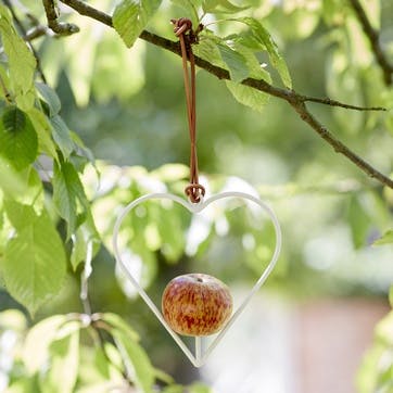 Apple Bird Feeder, Heart