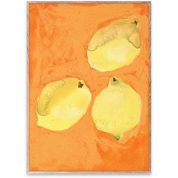 Lemon Print 30 x 40cm, Multi