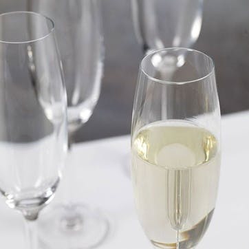 Julie Set of 4 Flute Glasses 227ml, Clear