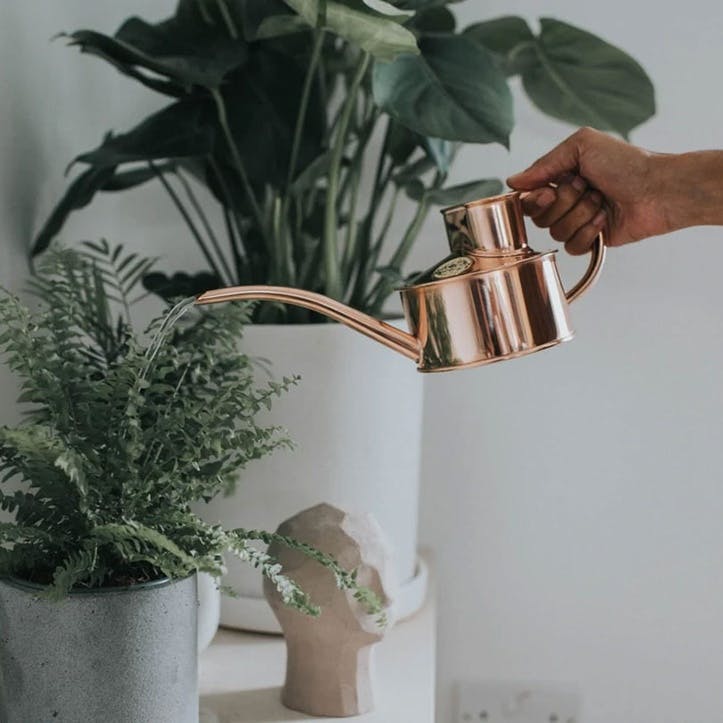 The Fazeley Flow Watering Can 1 Pint, Copper