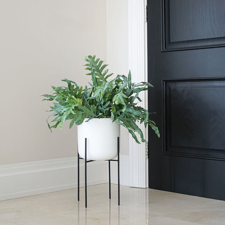 Luso, Plant Stand, Black