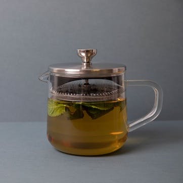 Loose Leaf Teapot 2 Cup Glass  ,