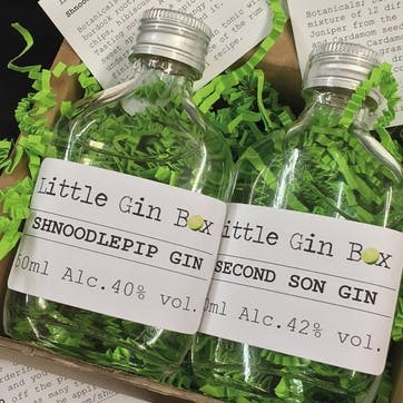 Twelve Months Gin Subscription with Little Gin Box