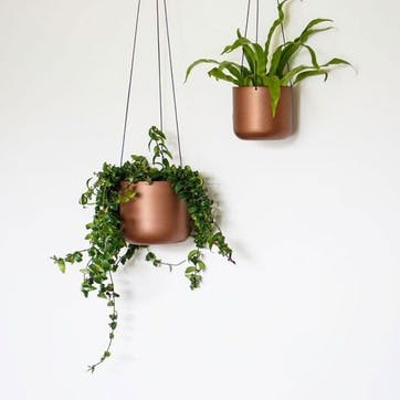 Kew Temperate House Hanging Planter with Hook  D17cm, Copper