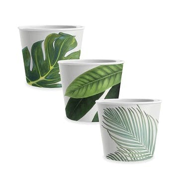 Amazon Floral Melamine Set Of 3 Ice Cream Bowls D11.5cm, Green