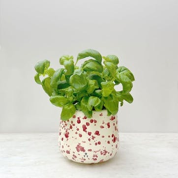 Splatter Indoor Planter  D15 x H13cm, Cranberry