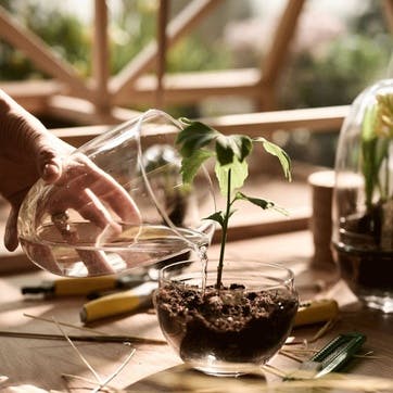 Grow Greenhouse Medium, Clear