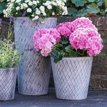 Chatsworth Planter D20cm, Zinc