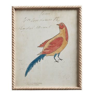 Carara Bird Set of 4 Framed Prints, Multi