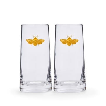 Pair of Highball Tumblers, Bee