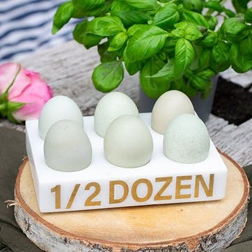 Marble 1/2 Dozen Egg Holder L17.5 x W12 x H3.5cm, White