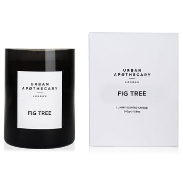 Fig Tree Luxury Candle, 300g