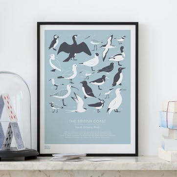 British Coast Sea & Estuary Birds Screen Print, 30cm x 40cm, Duck Egg Blue