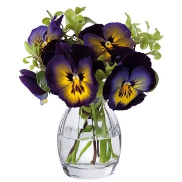 Florabundance Pansy Vase