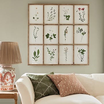 Set of Twelve Framed Pressed Flower Prints, Natural