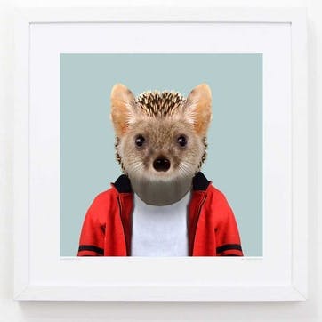 Zoo Portrait Print Long-Eared Hedgehog, 33cm x 33cm