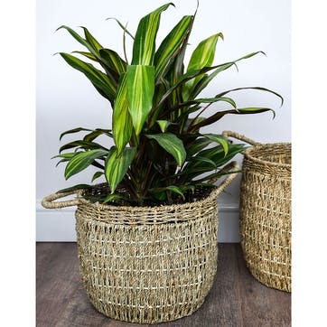 Seagrass, Set Of 2 Lined Baskets, Natural